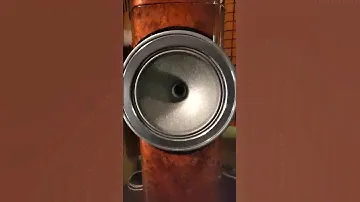 Fyne Audio F1-10 в шоуруме Next
